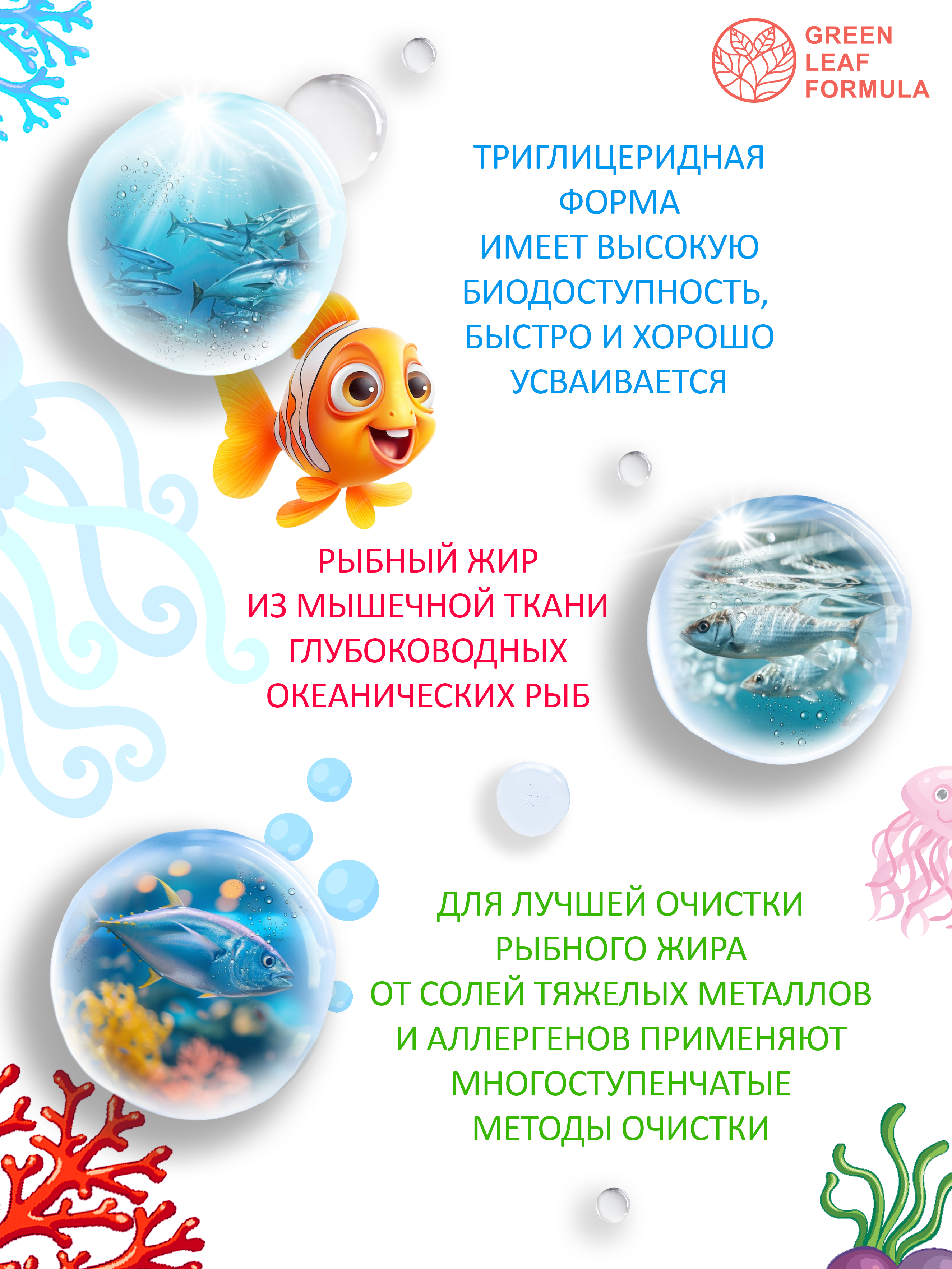 Омега 3 рыбный жир Green Leaf Formula витамины для детей от 3 лет со вкусом апельсина - фото 4