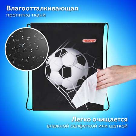 Мешок для обуви Пифагор