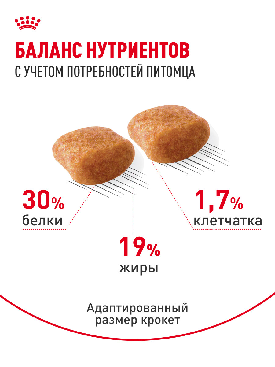 Корм для собак ROYAL CANIN Poodle Adult Пудель Эдалт сухой для взрослых собак породы пудель 1.5кг - фото 4