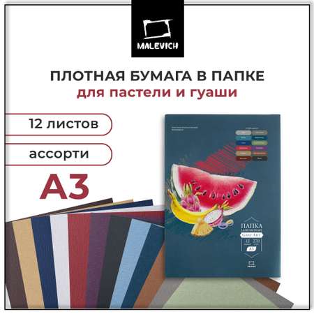 Художественная бумага, цветной картон, цветная бумага, папка для рисования Малевичъ 12 лист.
