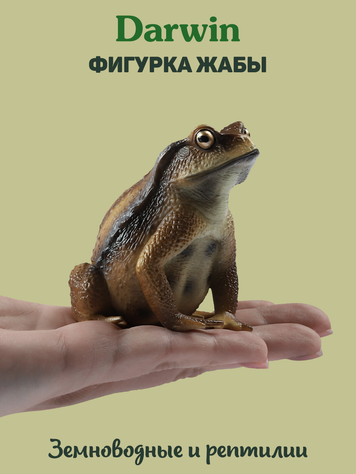 Фигурка DARWIN Животные Жаба - фото 2