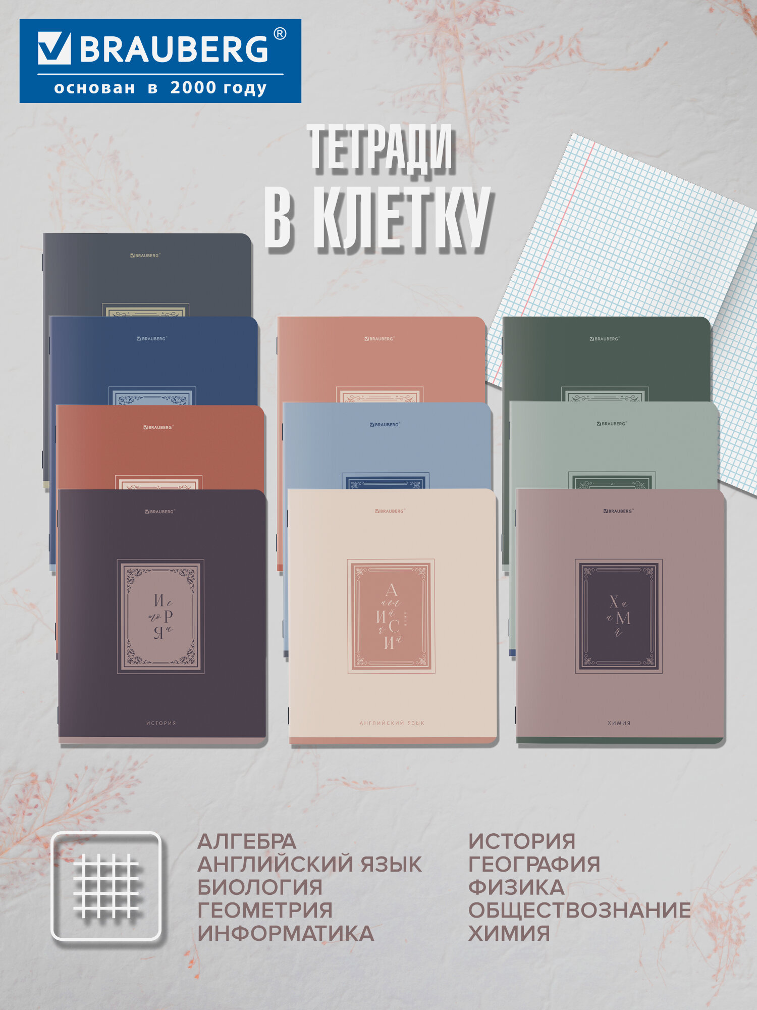 Тетрадь Brauberg 48 лист. 12 шт. - фото 2