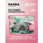 Папка для тетрадей Cancburg А4