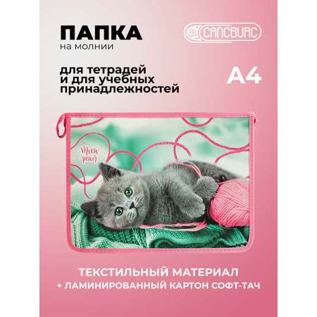 Папка для тетрадей Cancburg А4