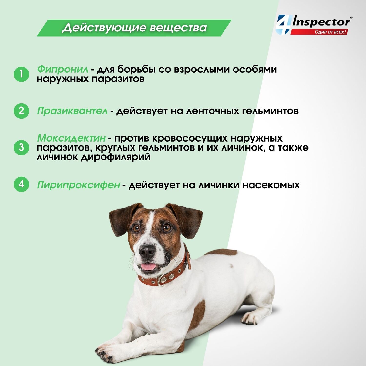 Капли для собак Inspector Quadro на холку 4-10кг 3пипетки - фото 6
