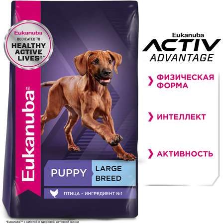 Корм Eukanuba Dog 15кг крупных пород сухой с птицей