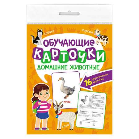 Карточки Проф-Пресс Обучающие