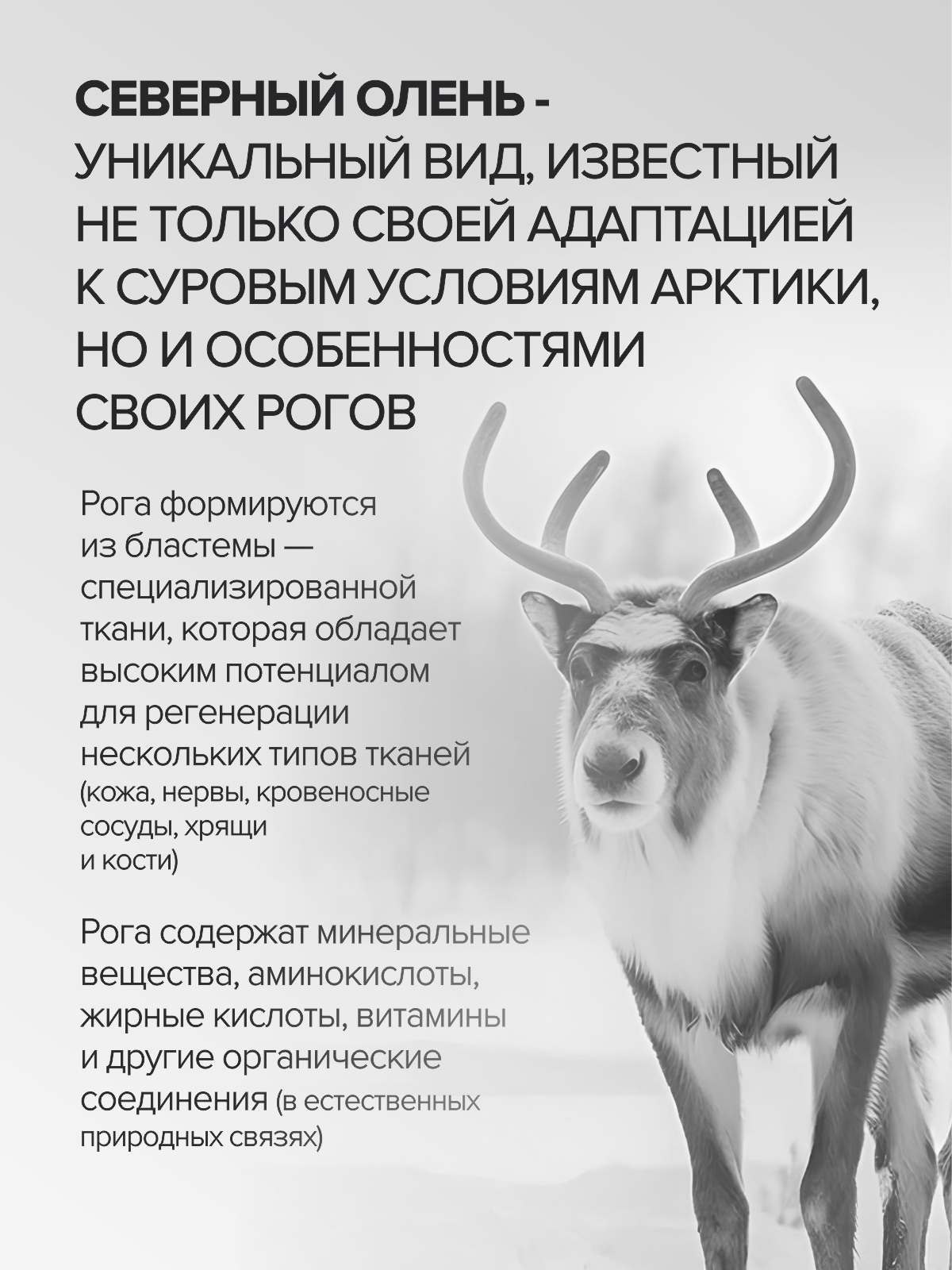 Мультивитамины для взрослых Цыгапан CigaPan Цыгапан комплекс витаминов и минералов для женщин и мужчин 120 капсул 400 мг - фото 4
