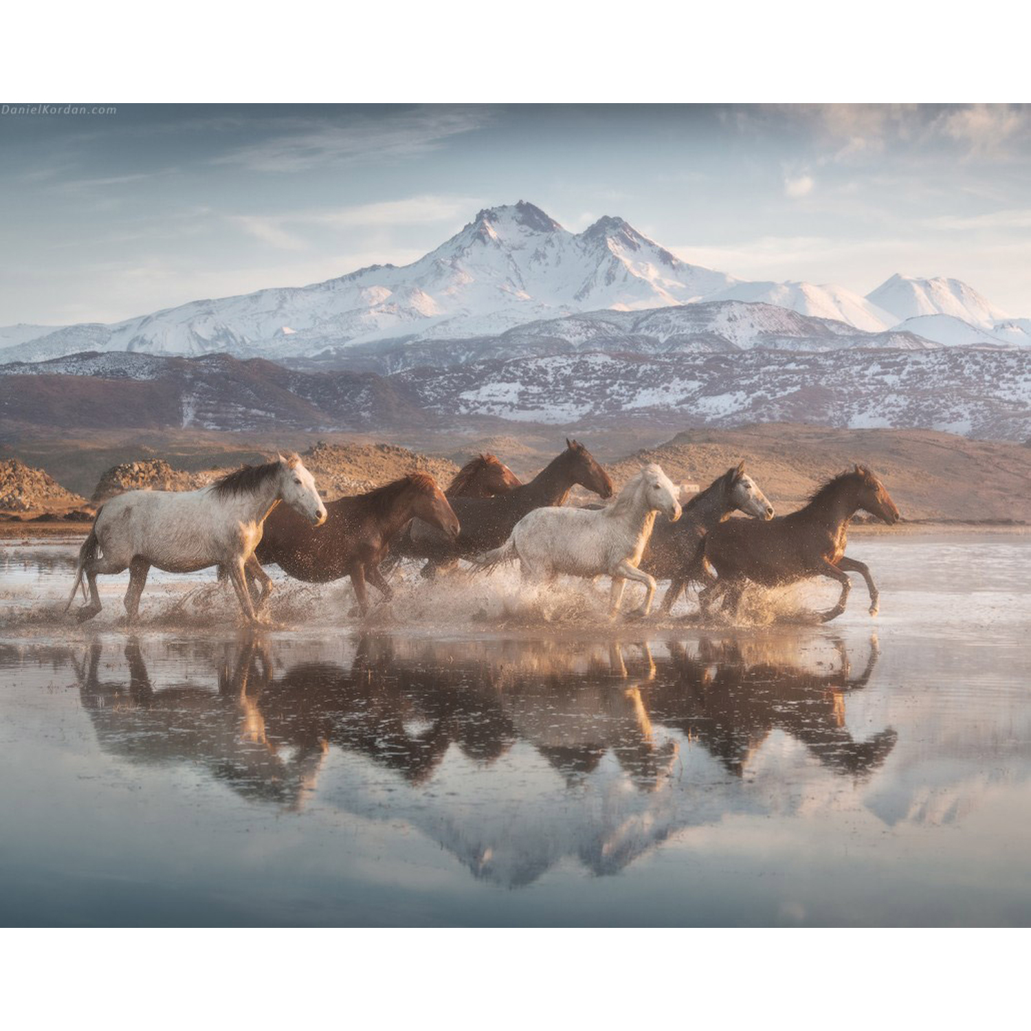 Пазл Фрея классический - фото 1