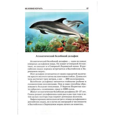Книга Лада Животные из Красной книги России. Школьный путеводитель