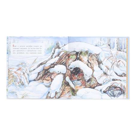 Книга Качели Кто как зимует