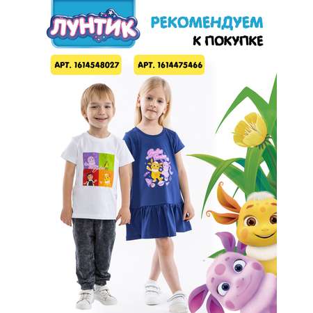 Футболка Winkiki