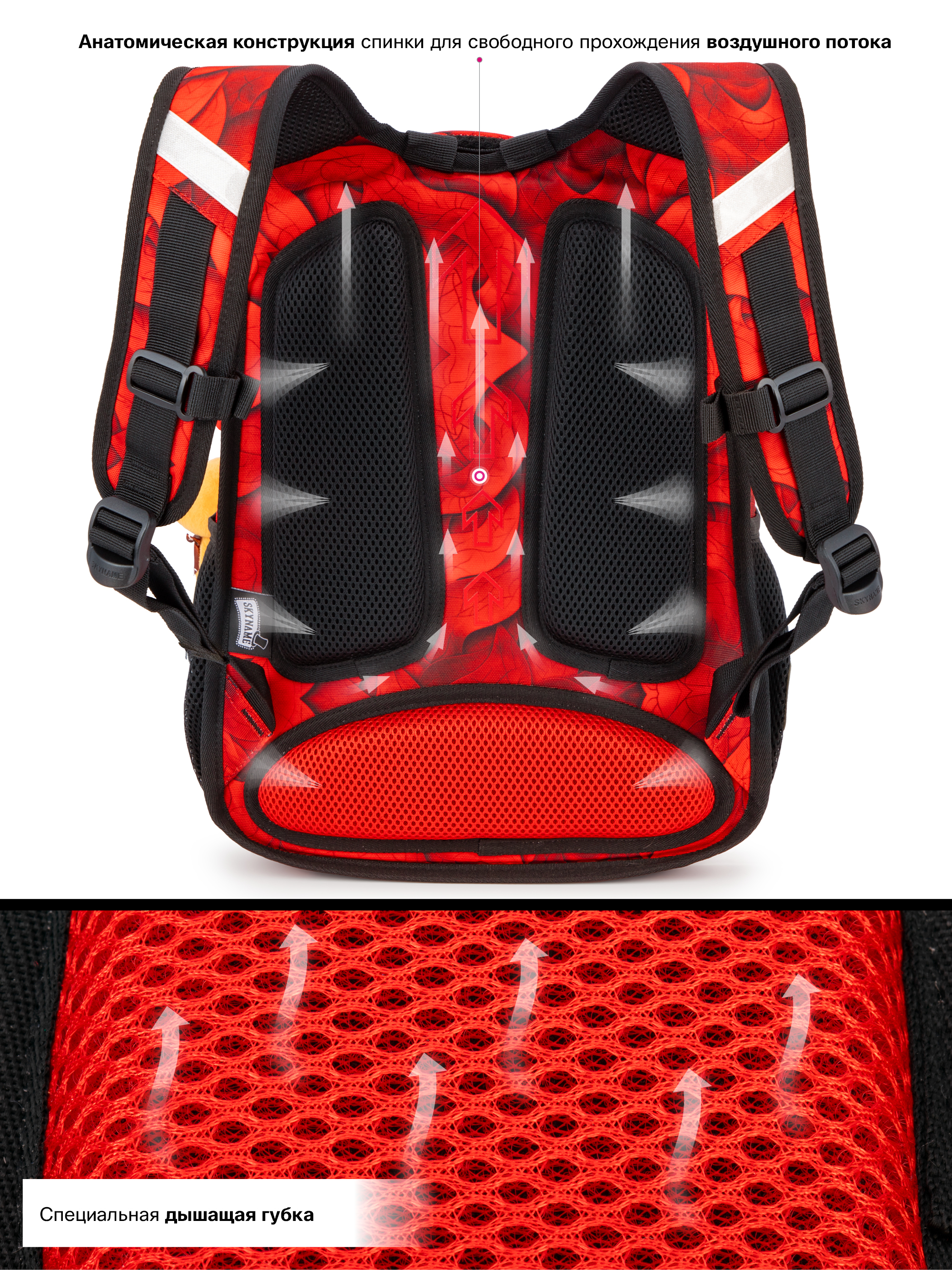 Рюкзак SkyName 1-4 класс, набор 4 в 1 - фото 11