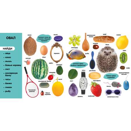 Книга Clever Первые знания. Фотокнига. Формы