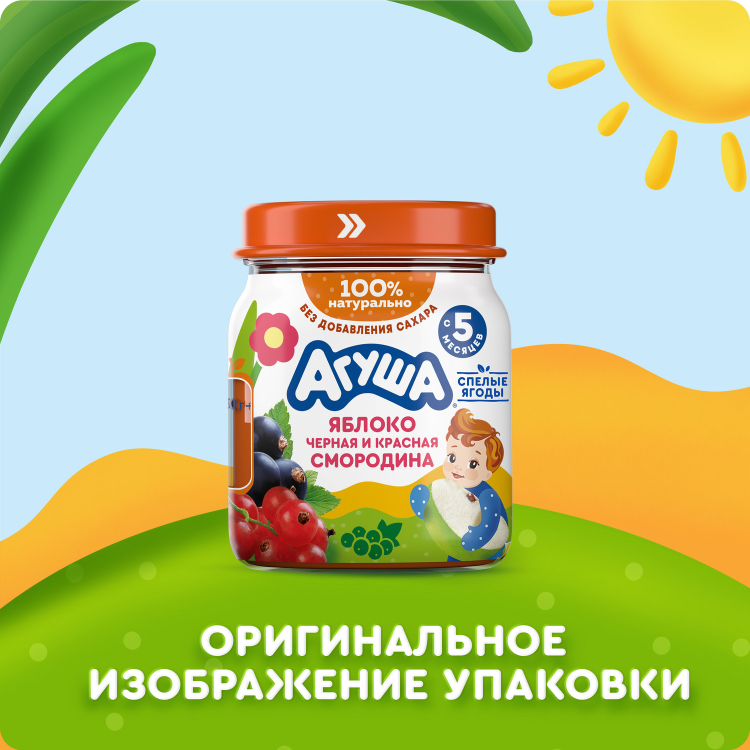 Пюре Агуша Черная смородина-красная смородина с 5 мес 100 г - фото 10