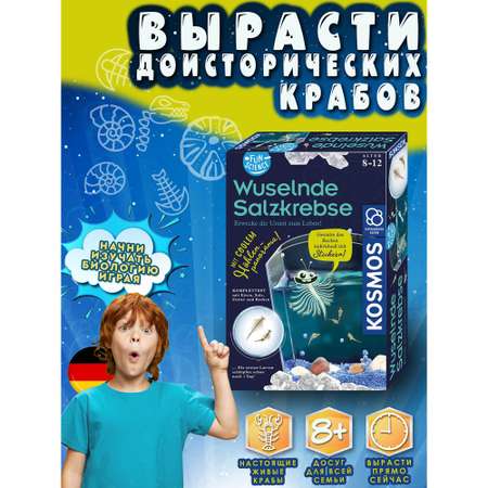Набор для опытов KOSMOS Experiments