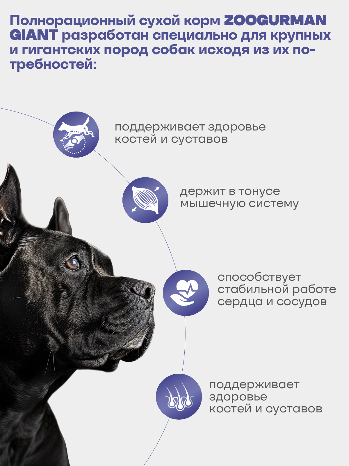 Корм сухой Зоогурман Giant Говядина с рубцом/Beef 12 кг - фото 2