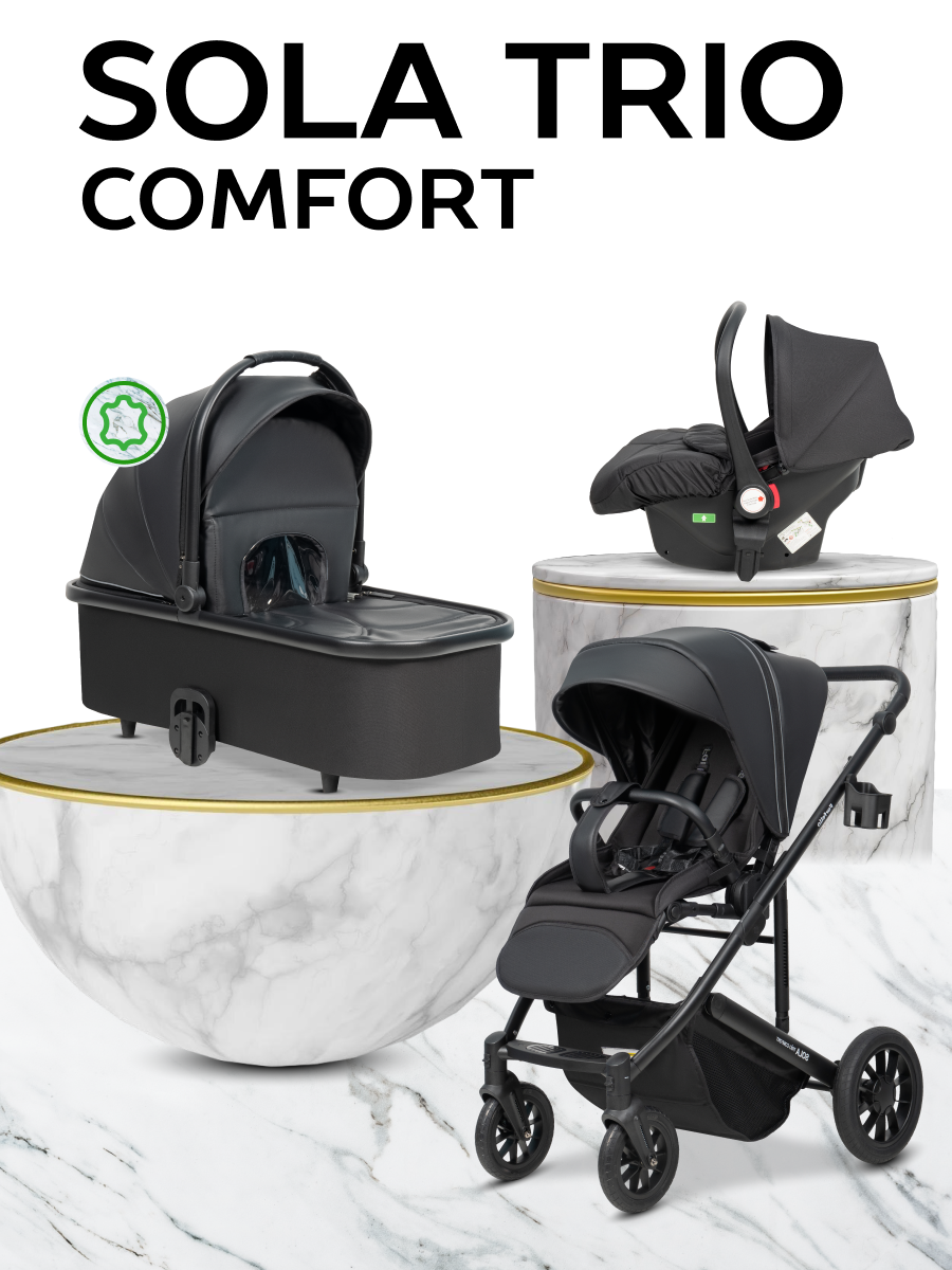 Коляска 3в1 Farfello Sola Trio Comfort черный - фото 1
