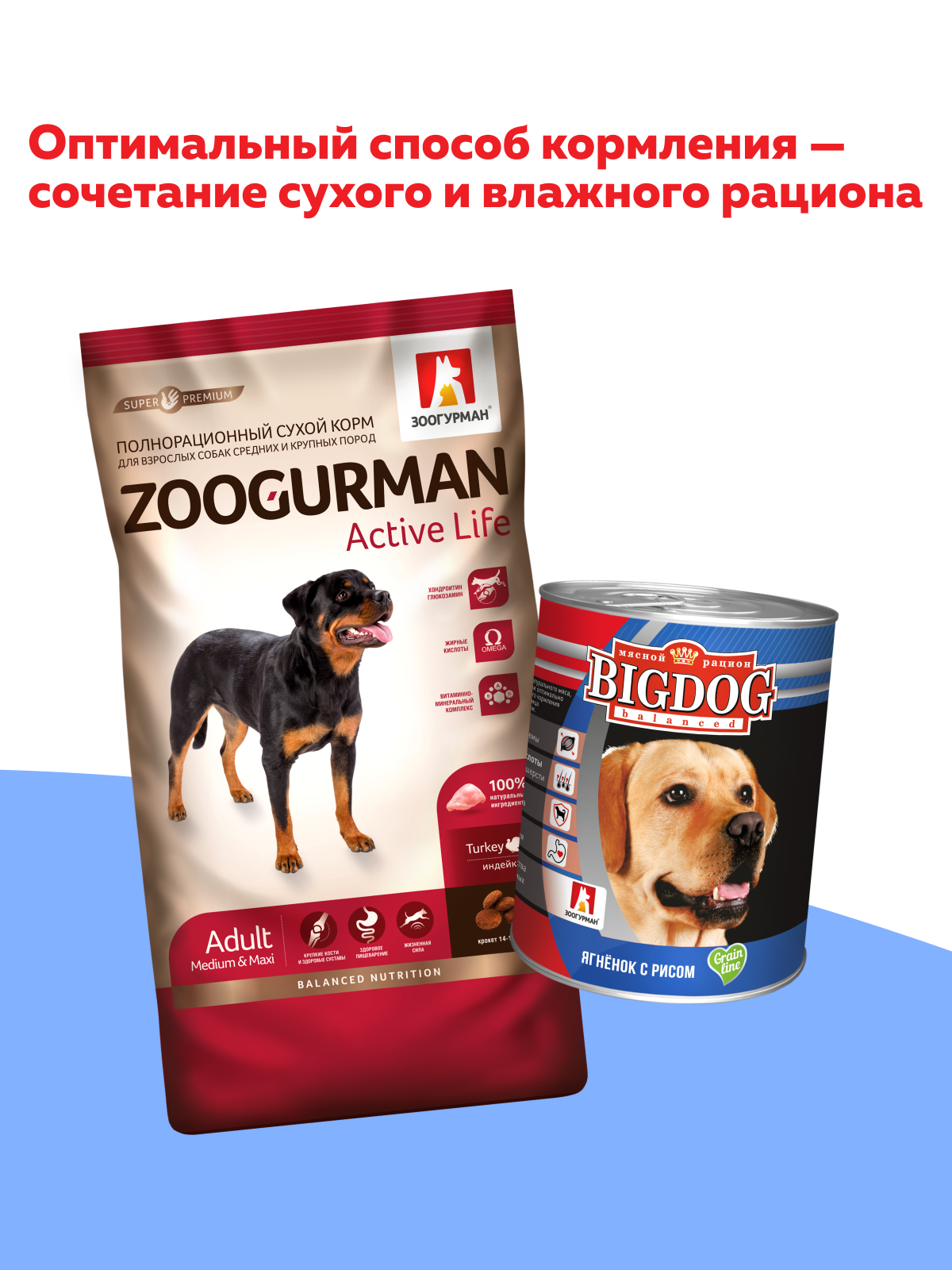 Корм влажный Зоогурман Big Dog Ягненок с рисом, 850 г х 6 шт. - фото 6