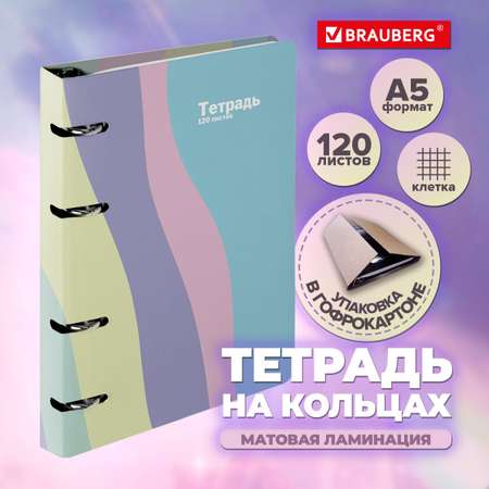 Тетрадь со сменным блоком Brauberg клетка