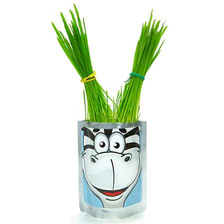 Набор для выращивания Happy Plant