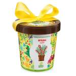 Набор для выращивания Happy Plant