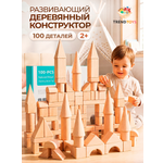 Конструктор TrendToys Замок деревянный 100 дет.