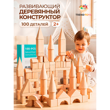 Конструктор TrendToys Замок деревянный 100 дет.
