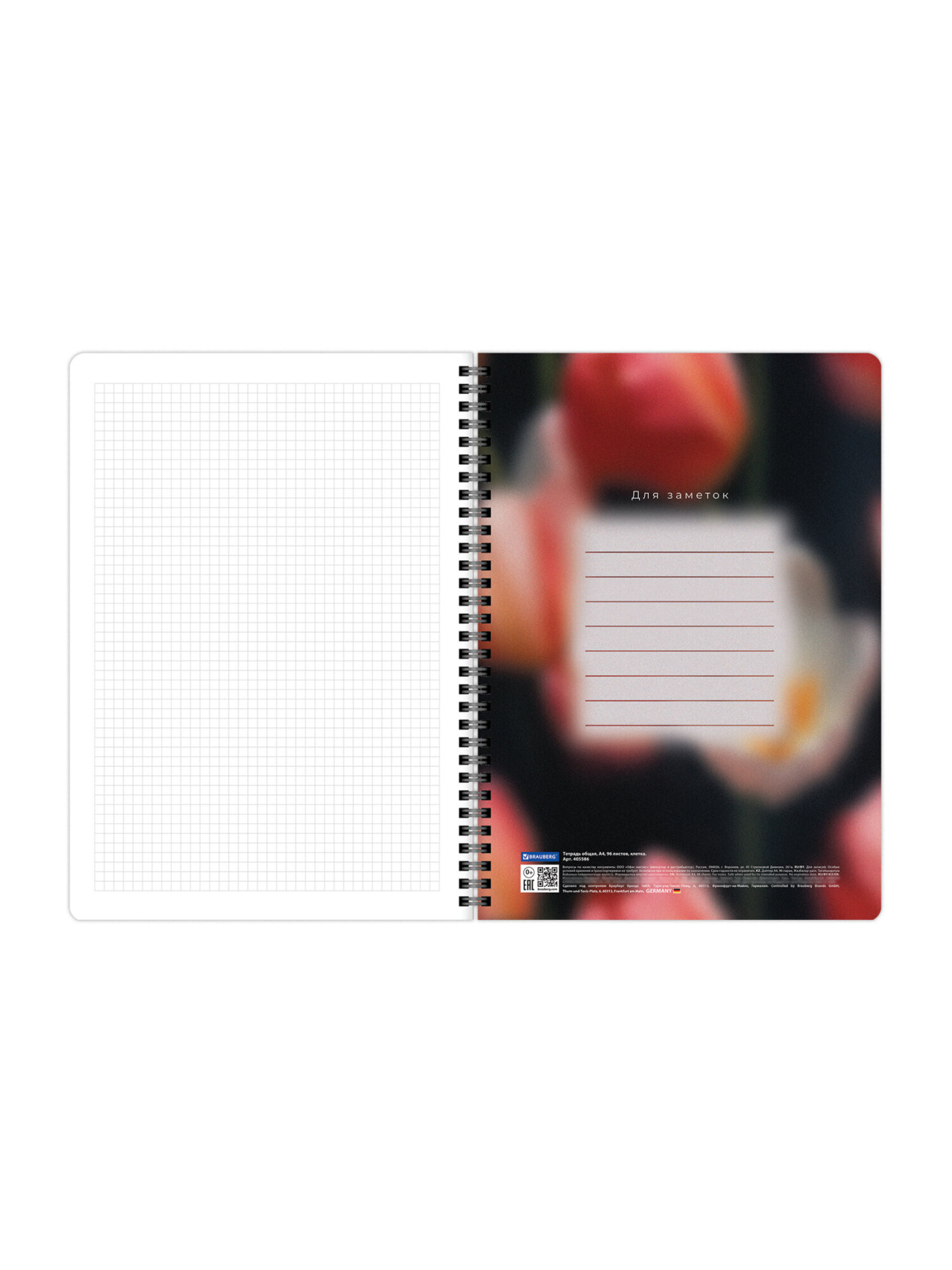 Общая тетрадь Brauberg клетка 96 лист. 2 шт. - фото 10