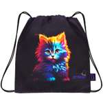 Мешок для обуви SkyName