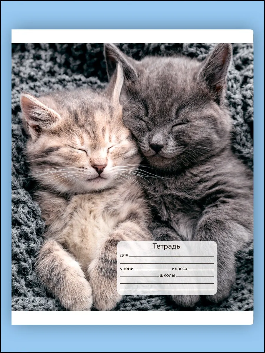 Тетрадь AXLER клетка 12 лист. 10 шт. - фото 6