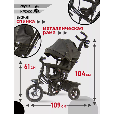 Трехколесный велосипед Velobibi 10 дюймов