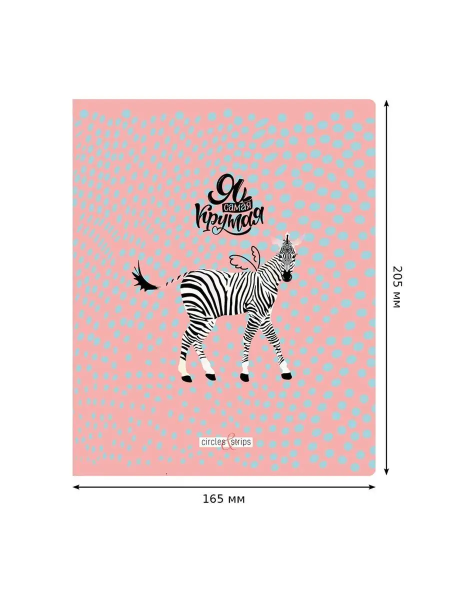 Тетрадь BG клетка 48 лист. 4 шт. - фото 4