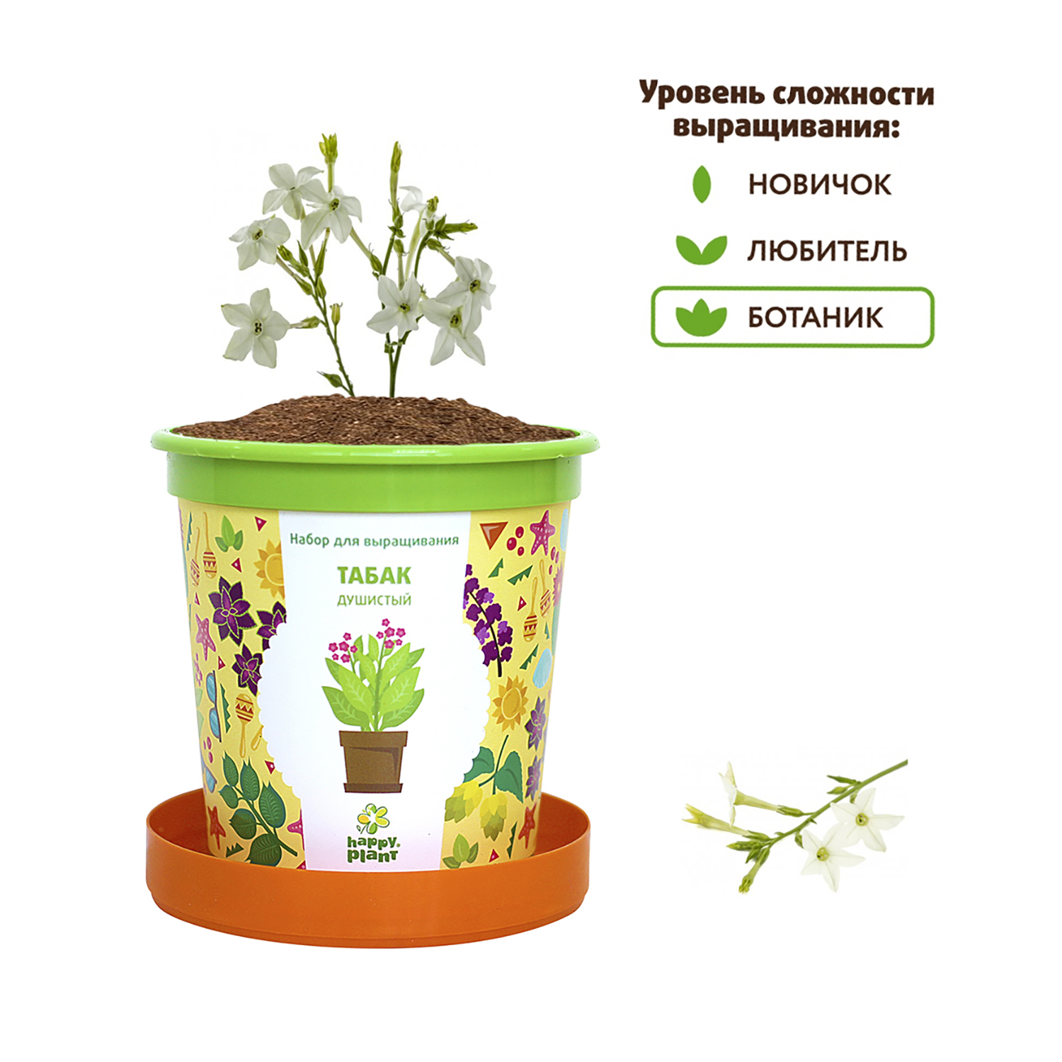 Набор для выращивания Happy Plant - фото 5