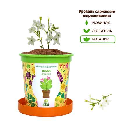 Набор для выращивания Happy Plant