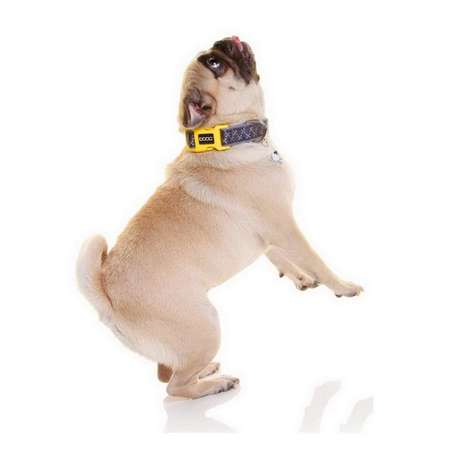 Ошейник для собак DOOG Odie