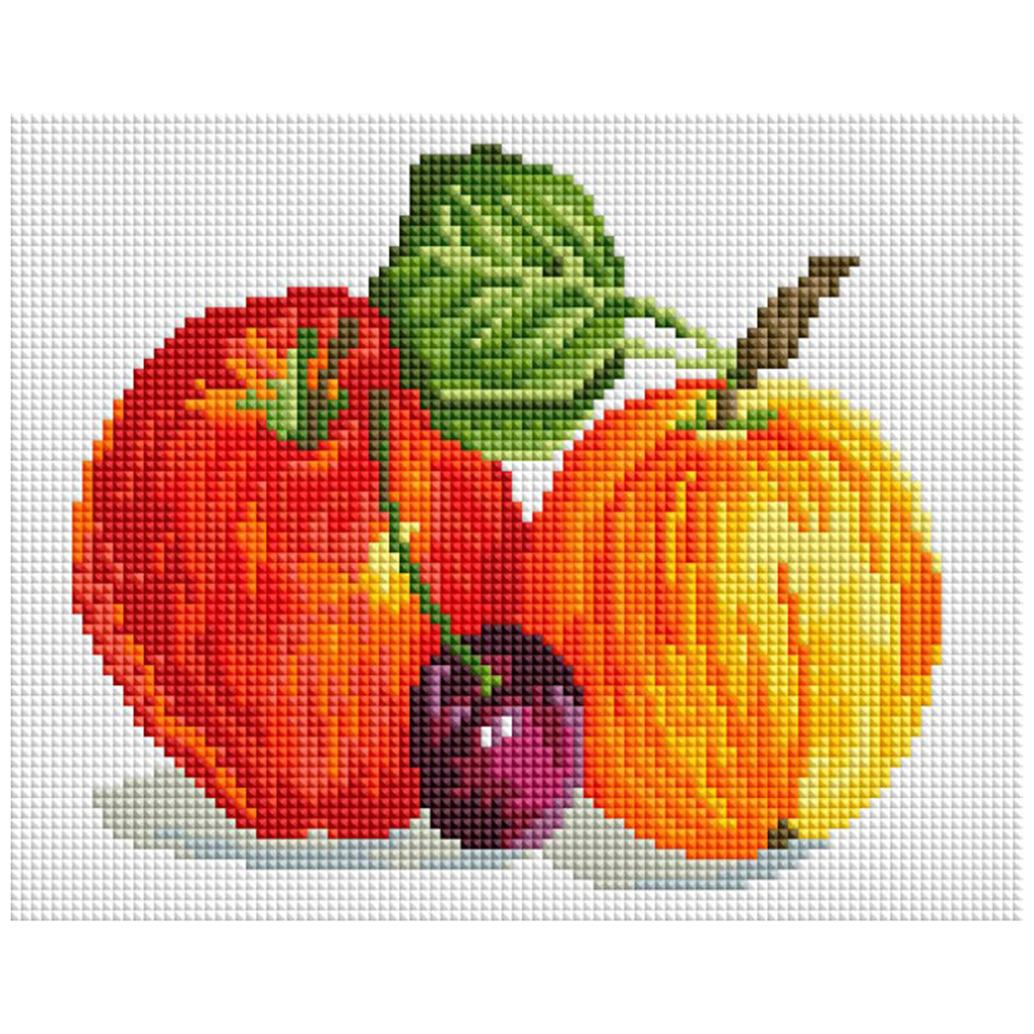 Алмазная мозаика Белоснежка Ботанический сад - фото 1