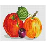 Алмазная мозаика Белоснежка Ботанический сад