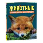 Книга Росмэн Животные Лучшая детская энциклопедия