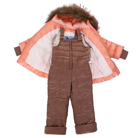 Комплект Arctic Goose