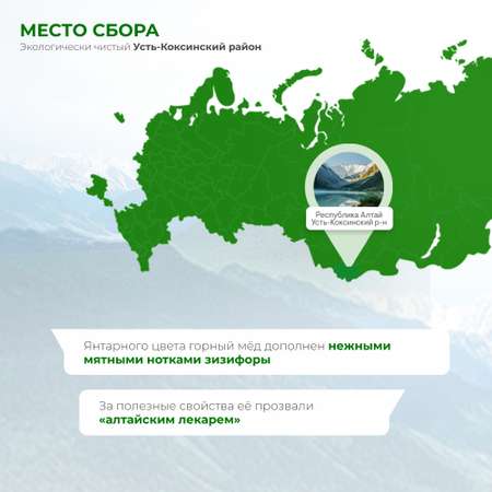Мед Предгорья Белухи горный натуральный разнотравье с зизифорой 140 г