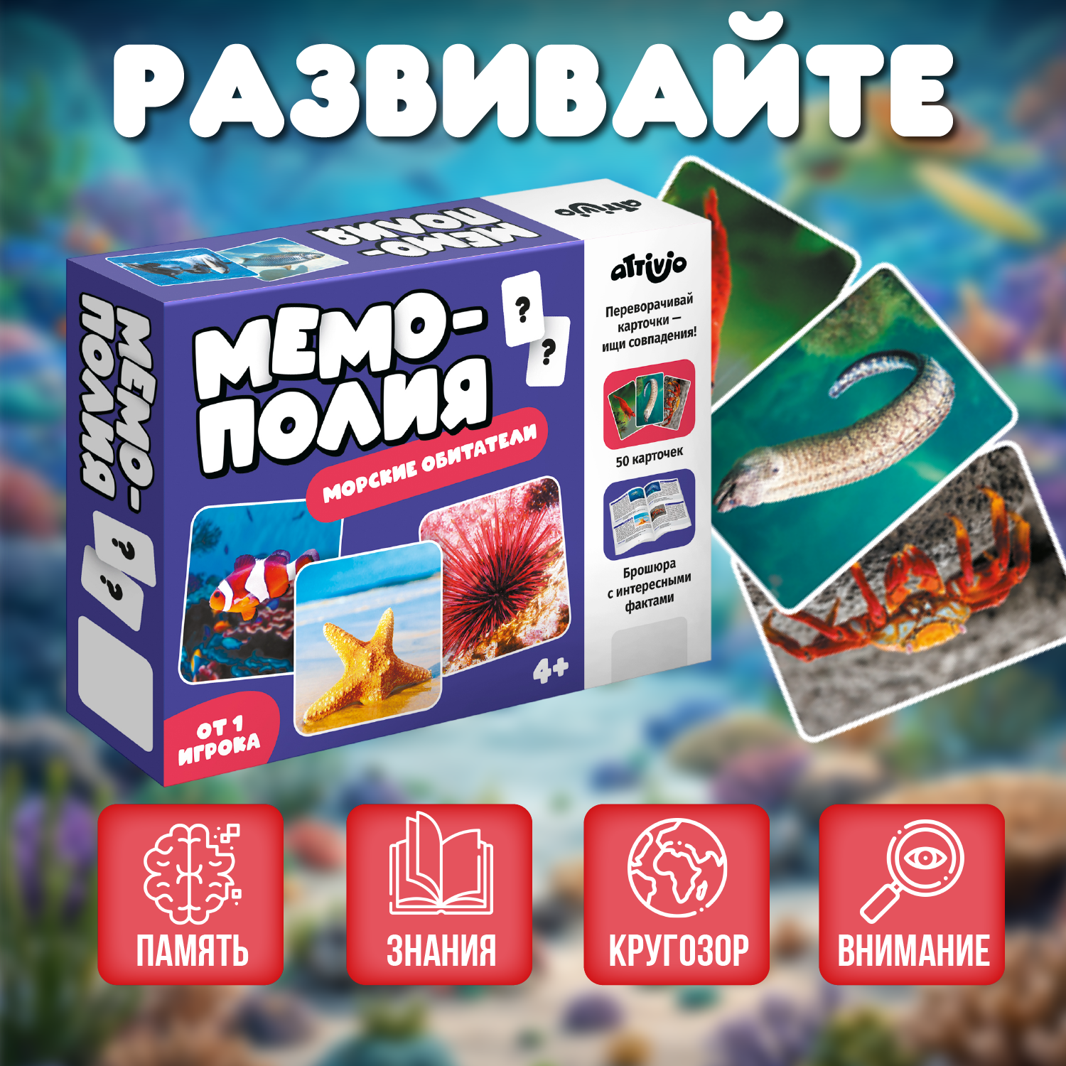 Настольная игра Attivio Мемори Морские обитатели - фото 4