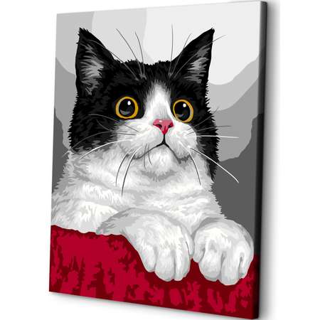 Картина по номерам Art sensation Котик в ассортименте