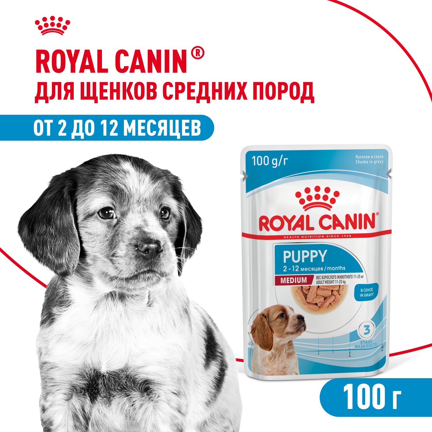 Корм для щенков влажный ROYAL CANIN Medium Puppy средних пород в возрасте до 12 месяцев соус 100 г - фото 1