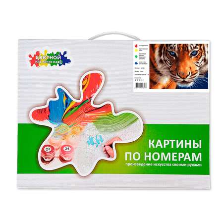 Картина по номерам Цветной