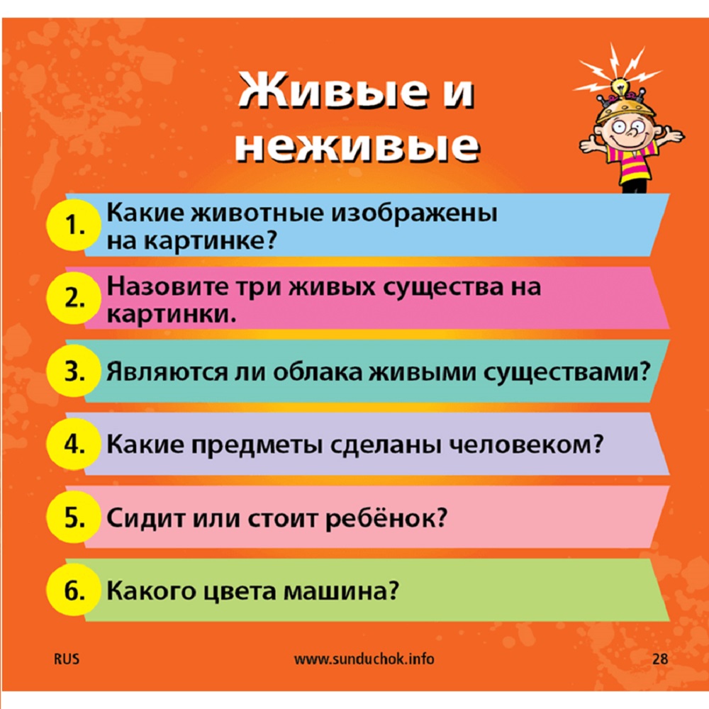 Настольная игра BrainBox - фото 6
