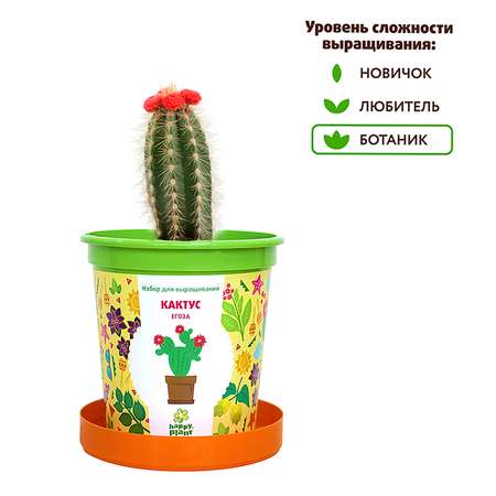 Набор для выращивания Happy Plant
