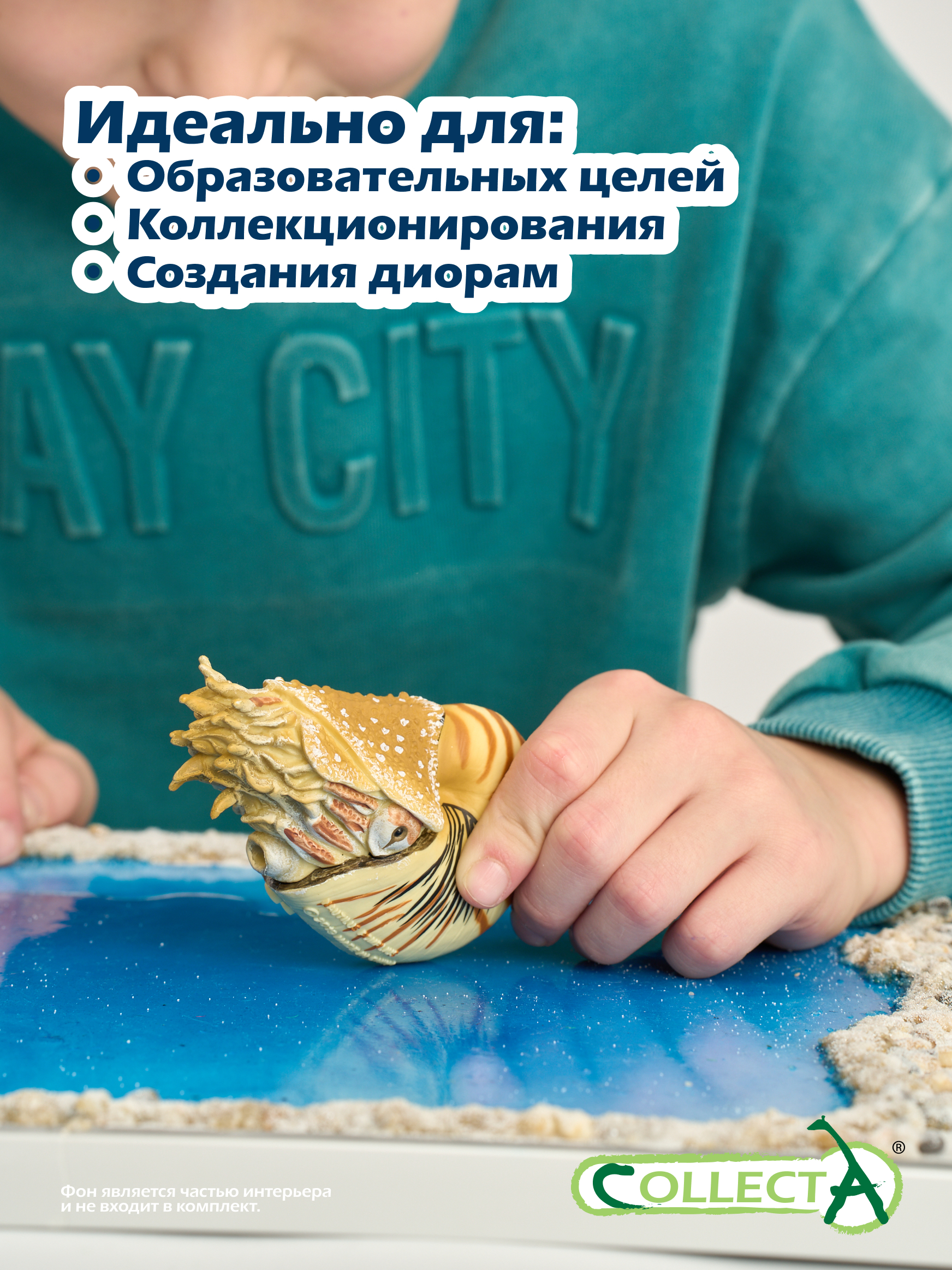 Фигурка Collecta Моллюск Наутилус Помпилиус - фото 6