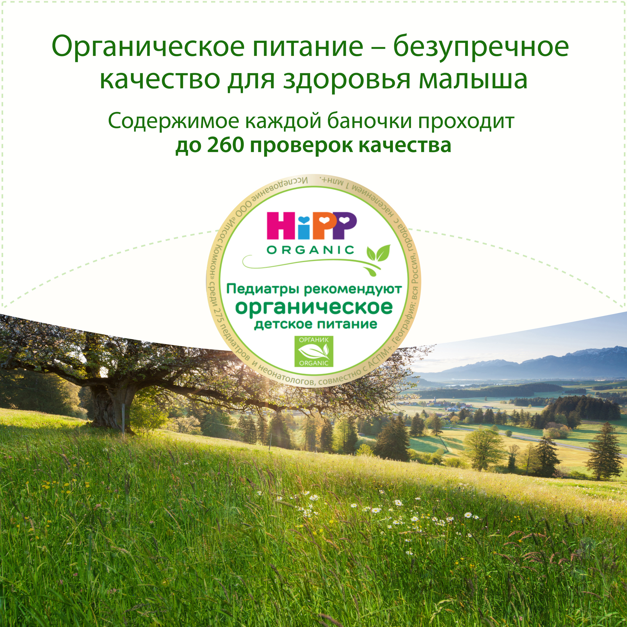 Пюре Hipp Нежные овощи-индейка с 12 мес 190 г - фото 3