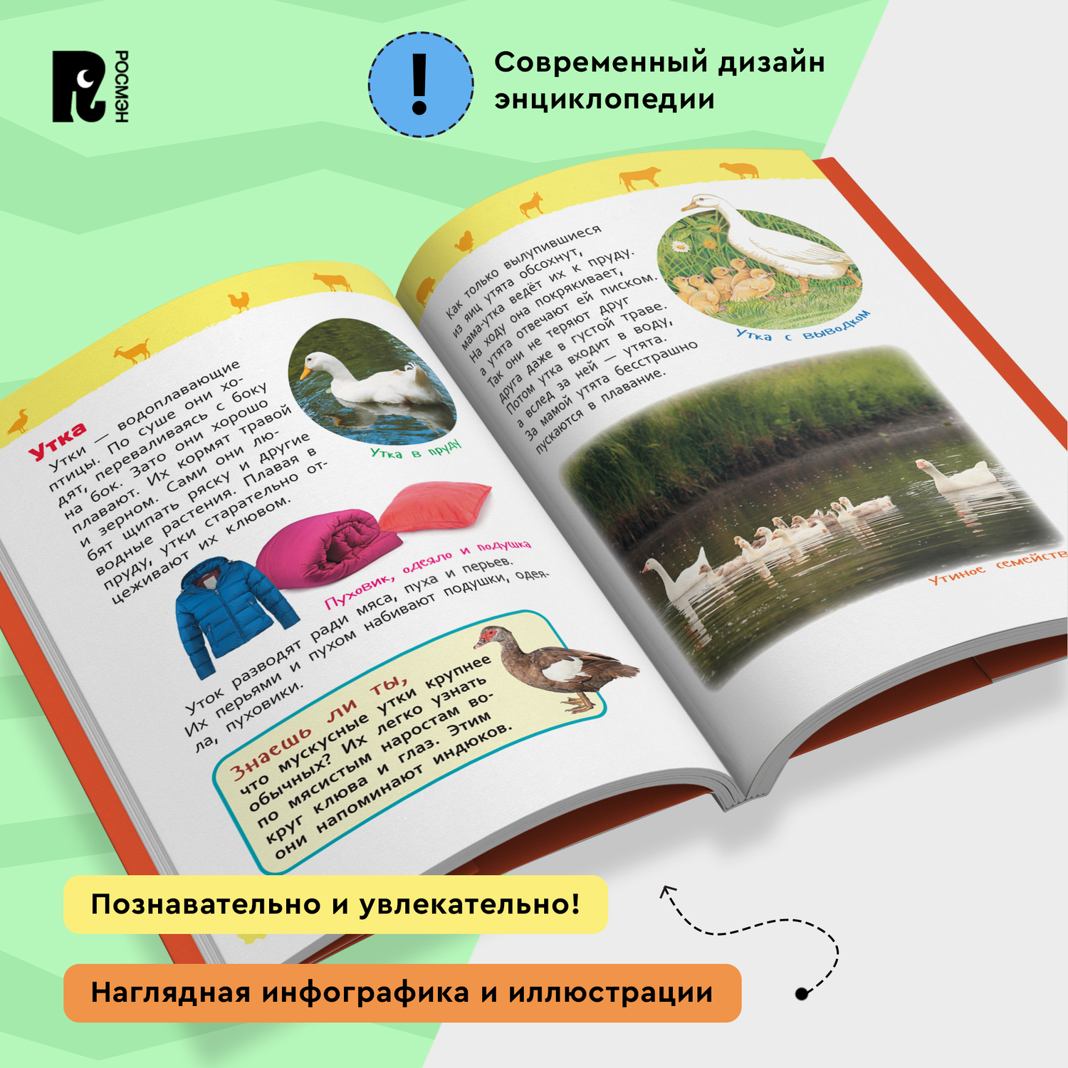 Книга Росмэн Домашние животные Энциклопедия для детского сада - фото 10
